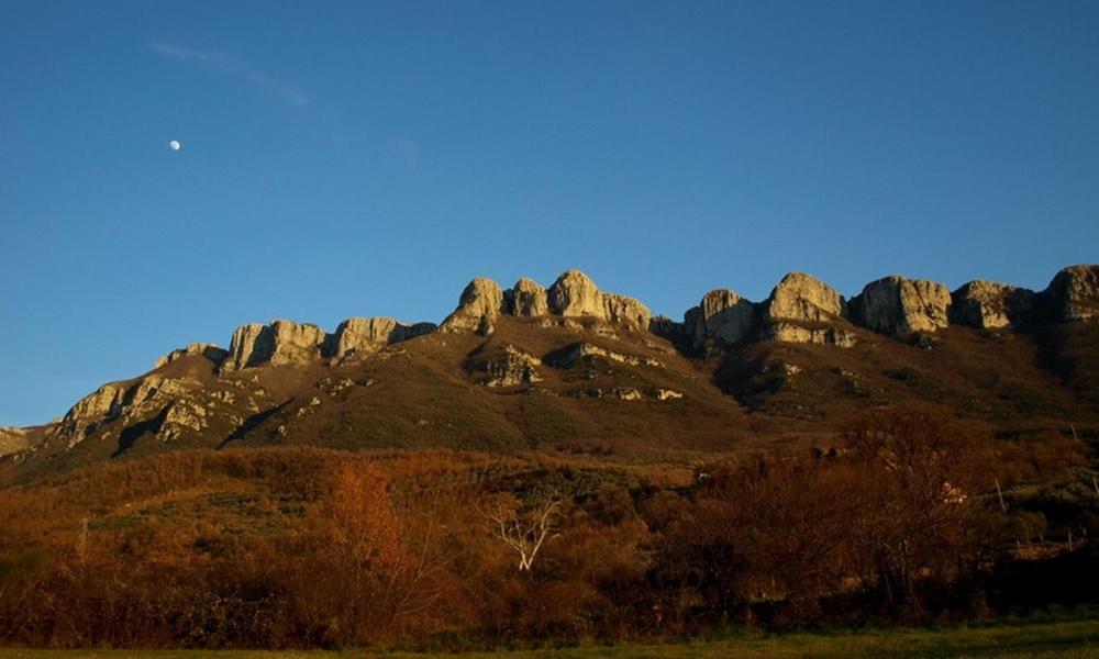 Agriturismo Al Gallo Verde Altavilla Silentina Exteriör bild